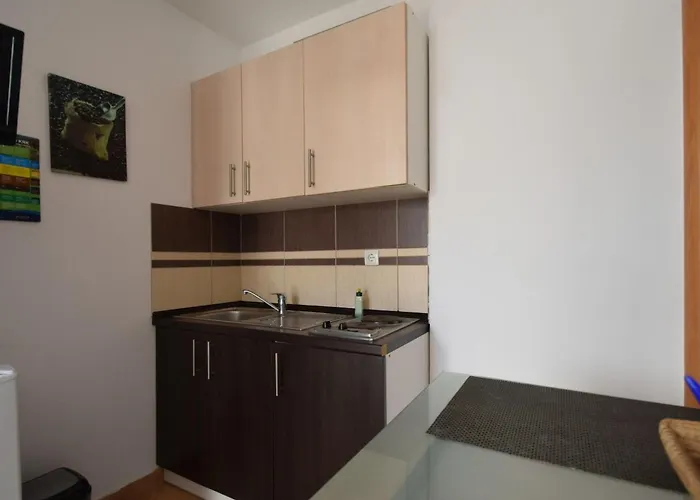 Apartman Mikec 1 By Interhome Malinska